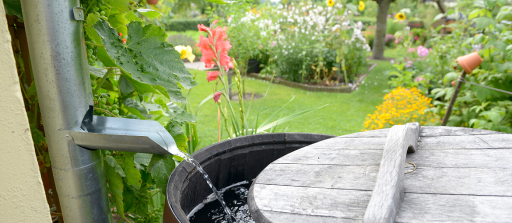 Port Coquitlam Realtor - How Do You Prepare Your Home For The Spring - Install a rain barrel to collect rainwater